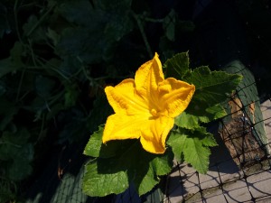 2014-08-23 06.49.42