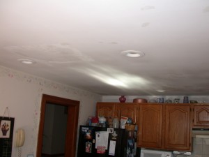 DSCN8808