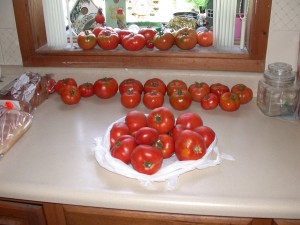 tomatoes