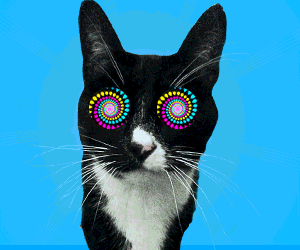 breaker-social-mpu-cat-eyes