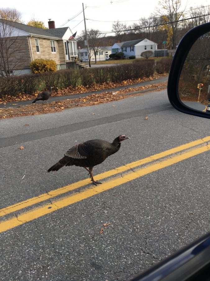 2016-11-21-14-38-37-1